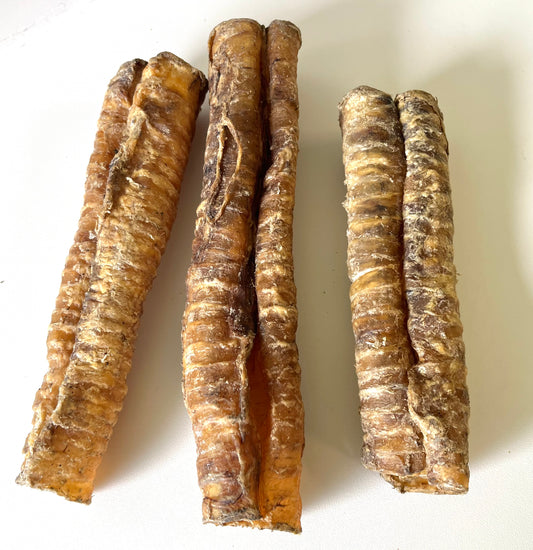 Buffalo Trachea Large