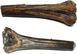 Ostrich Metatarsus Bone